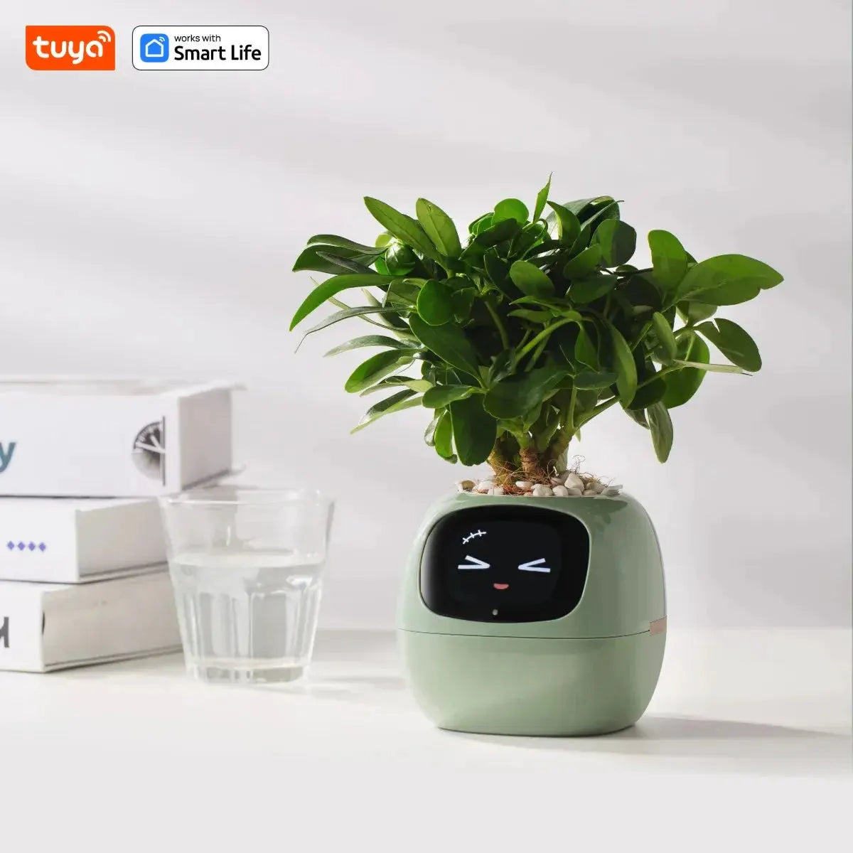 Tuya Ivy Smart Planter,Endless Fun Over 49 Rich Expressions,7 smart sensors,AI Chips Make Raising Plants Easy and Fun by MAIDEN-ART