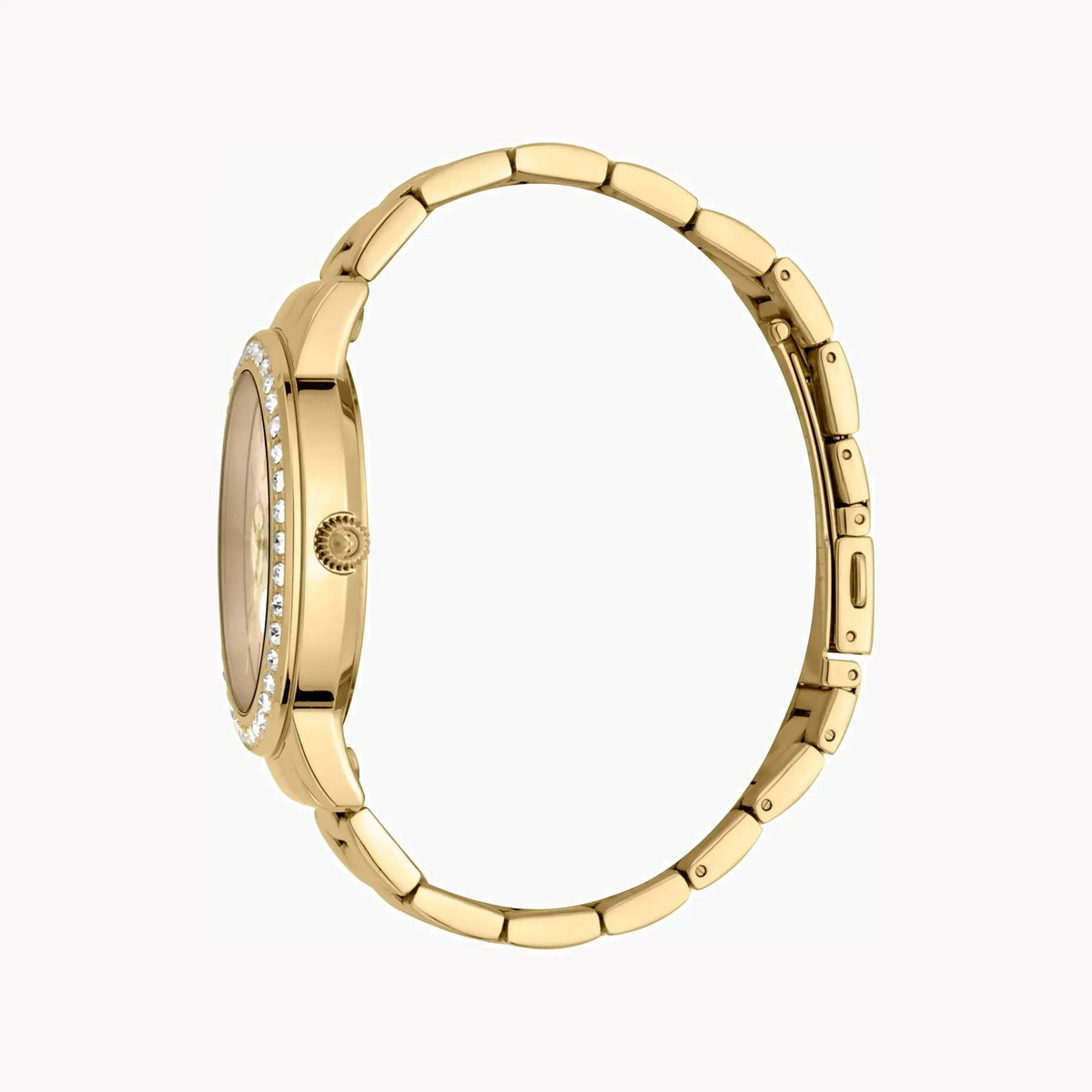Just Cavalli Women's Gold Watch, Champagne Dial | Jc1l164m0075 by JUST CAVALLI