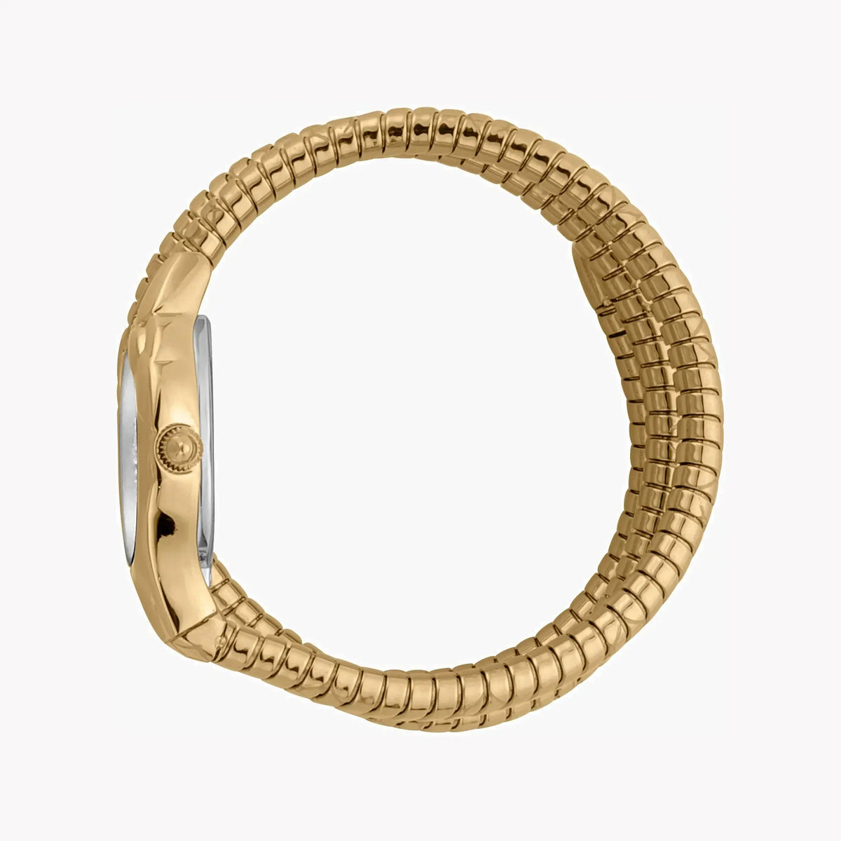 Just Cavalli Women's Gold Stainless Steel Watch, Silver Dial | Jc1l189m0035 by JUST CAVALLI