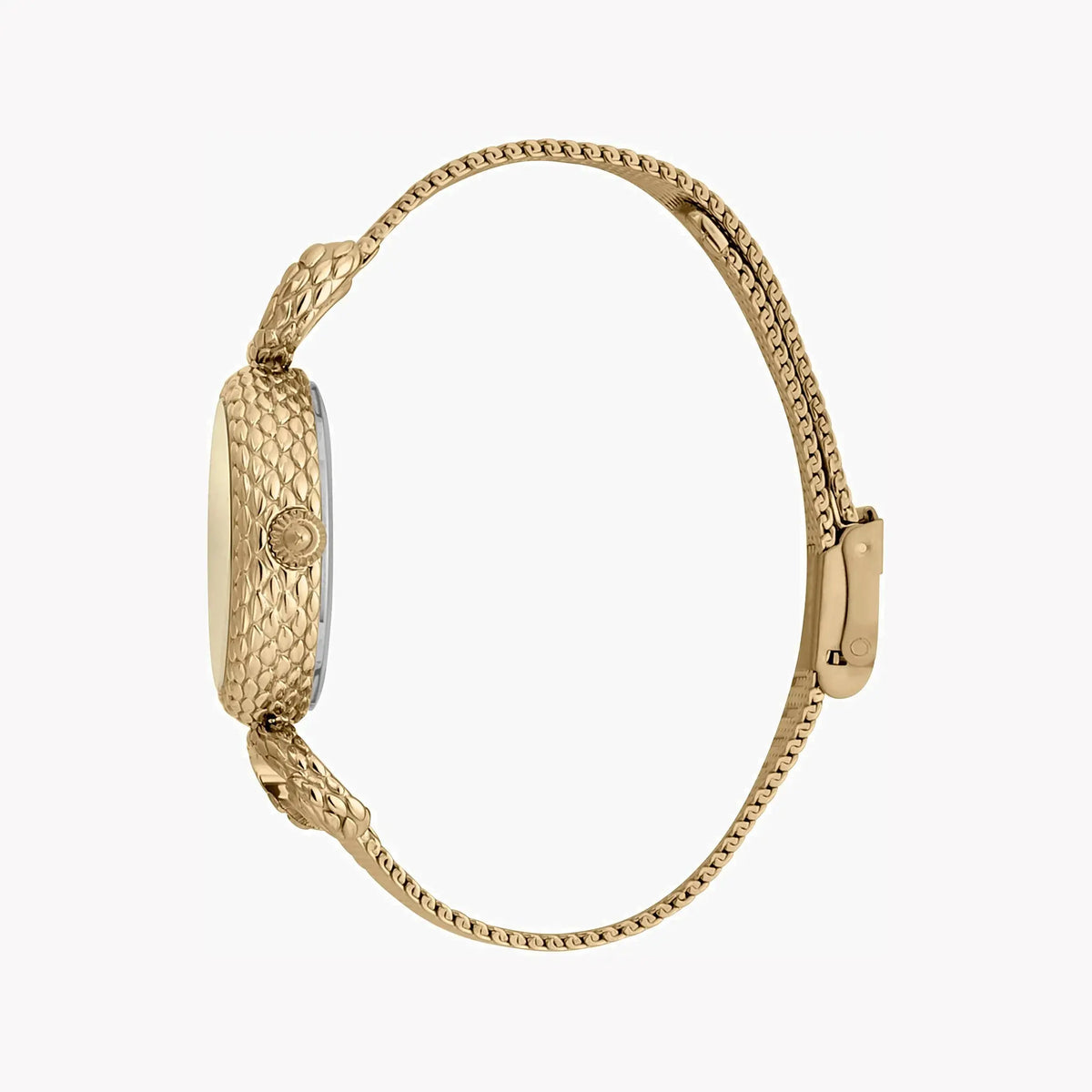 Just Cavalli Women's Gold Watch, Champagne Dial | Jc1l148m0225 by JUST CAVALLI