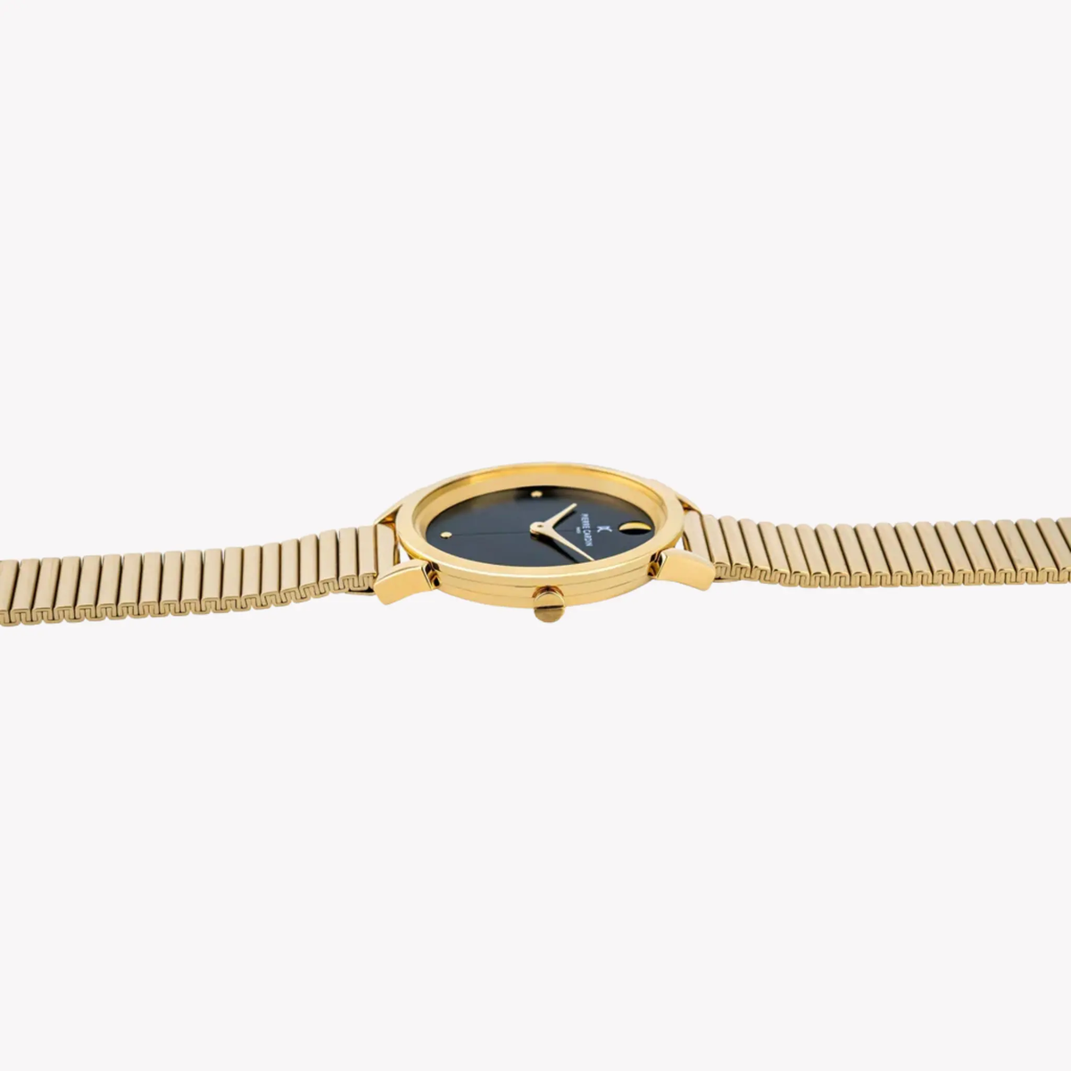 Pierre Cardin Women's Gold Stainless Steel Watch, Black Dial | Cpi.2529 by PIERRE CARDIN