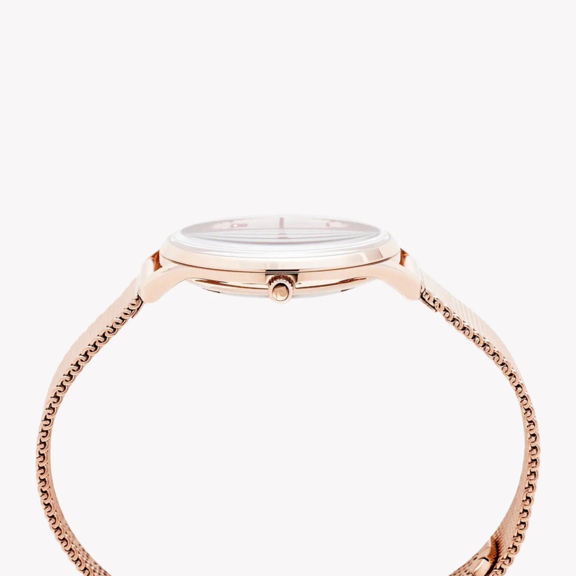 Pierre Cardin Women's Rose Gold Watch, Round Dial | Pc902722f108 by PIERRE CARDIN