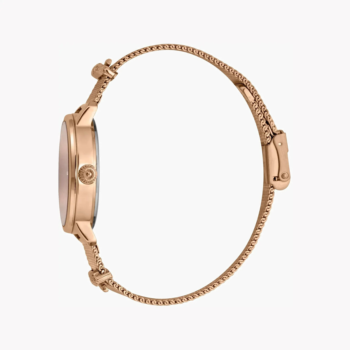 Just Cavalli Women's Rose Gold Watch, Rose Gold Dial | Jc1l126m0075 by JUST CAVALLI