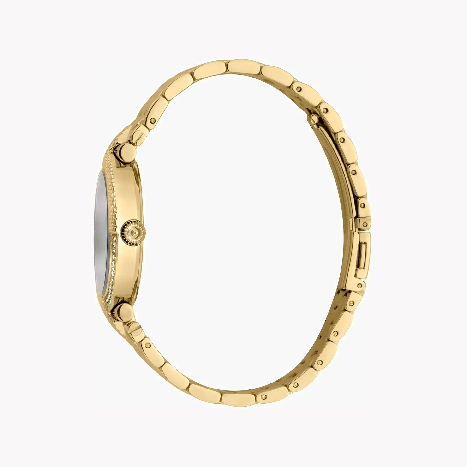 Just Cavalli Women's Gold Stainless Steel Watch, White Dial | Jc1l105m0085 by JUST CAVALLI