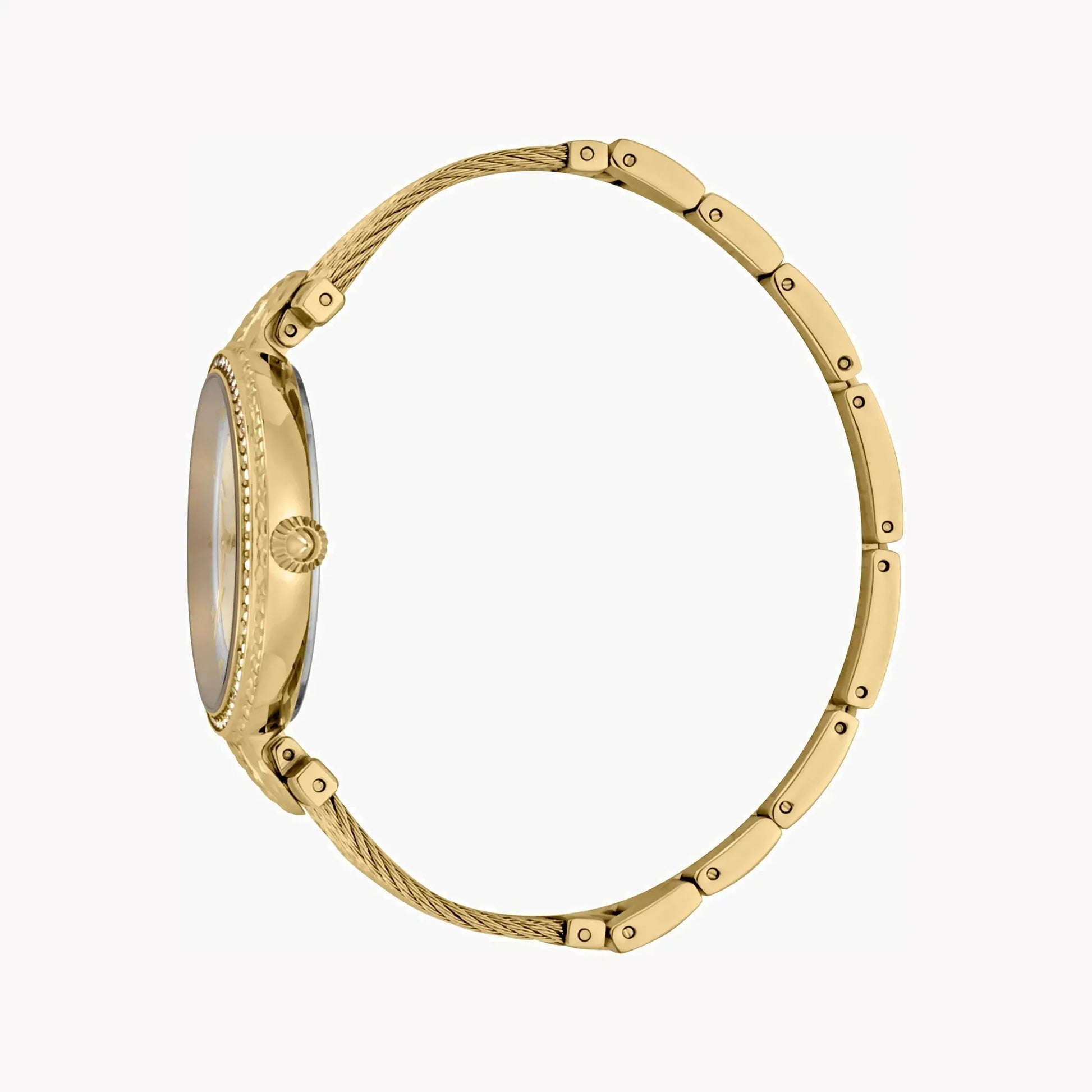 Just Cavalli Women's Gold Watch, Champagne Dial | Jc1l169m0025 by JUST CAVALLI