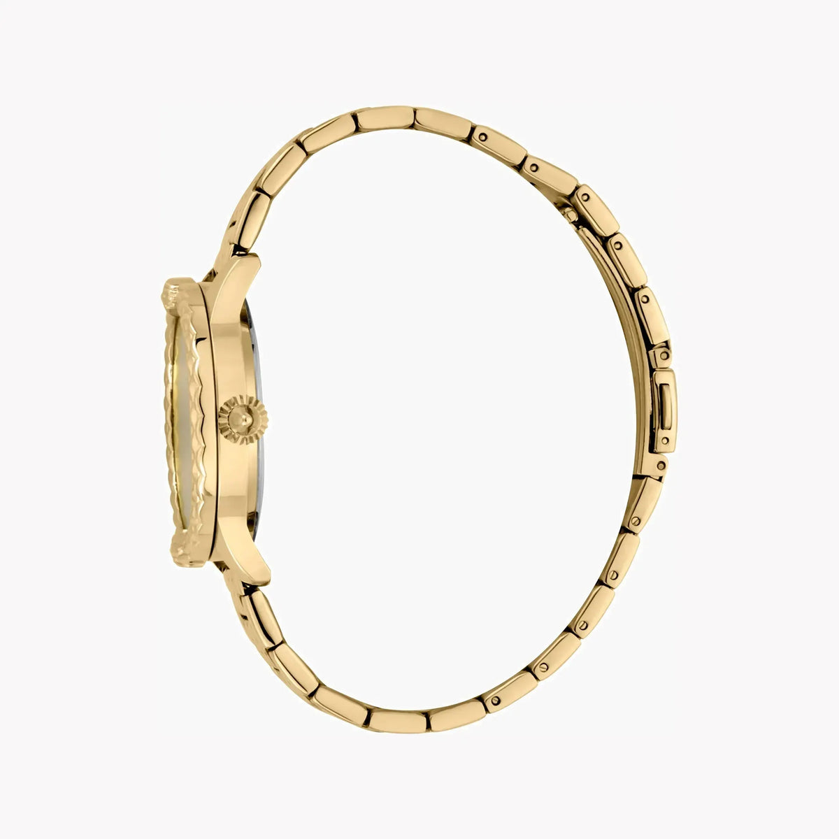Just Cavalli Women's Gold Watch, Champagne Dial | Jc1l144m0055 by JUST CAVALLI