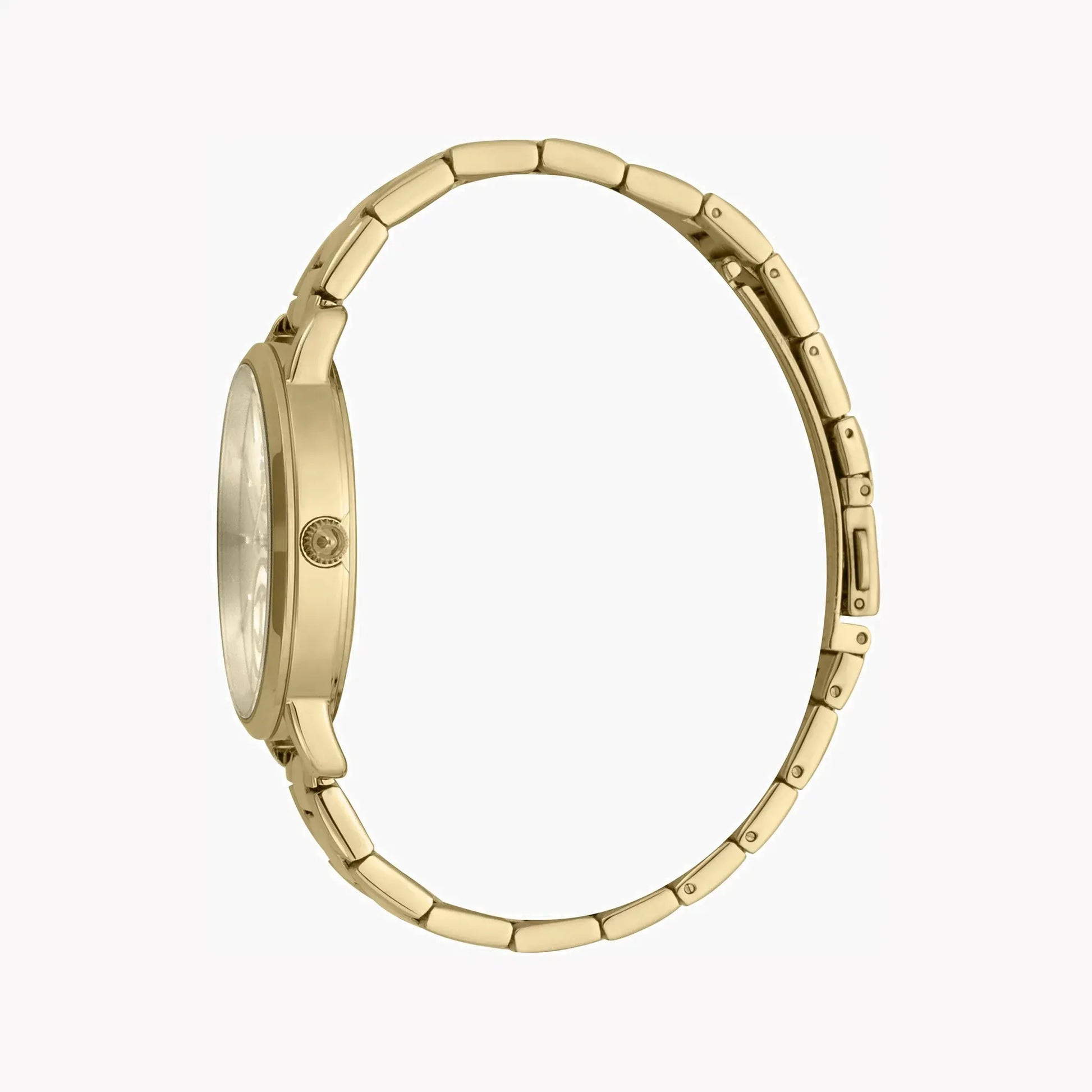 Just Cavalli Women's Gold Stainless Steel Watch, Champagne Dial | Jc1l117m0065 by JUST CAVALLI