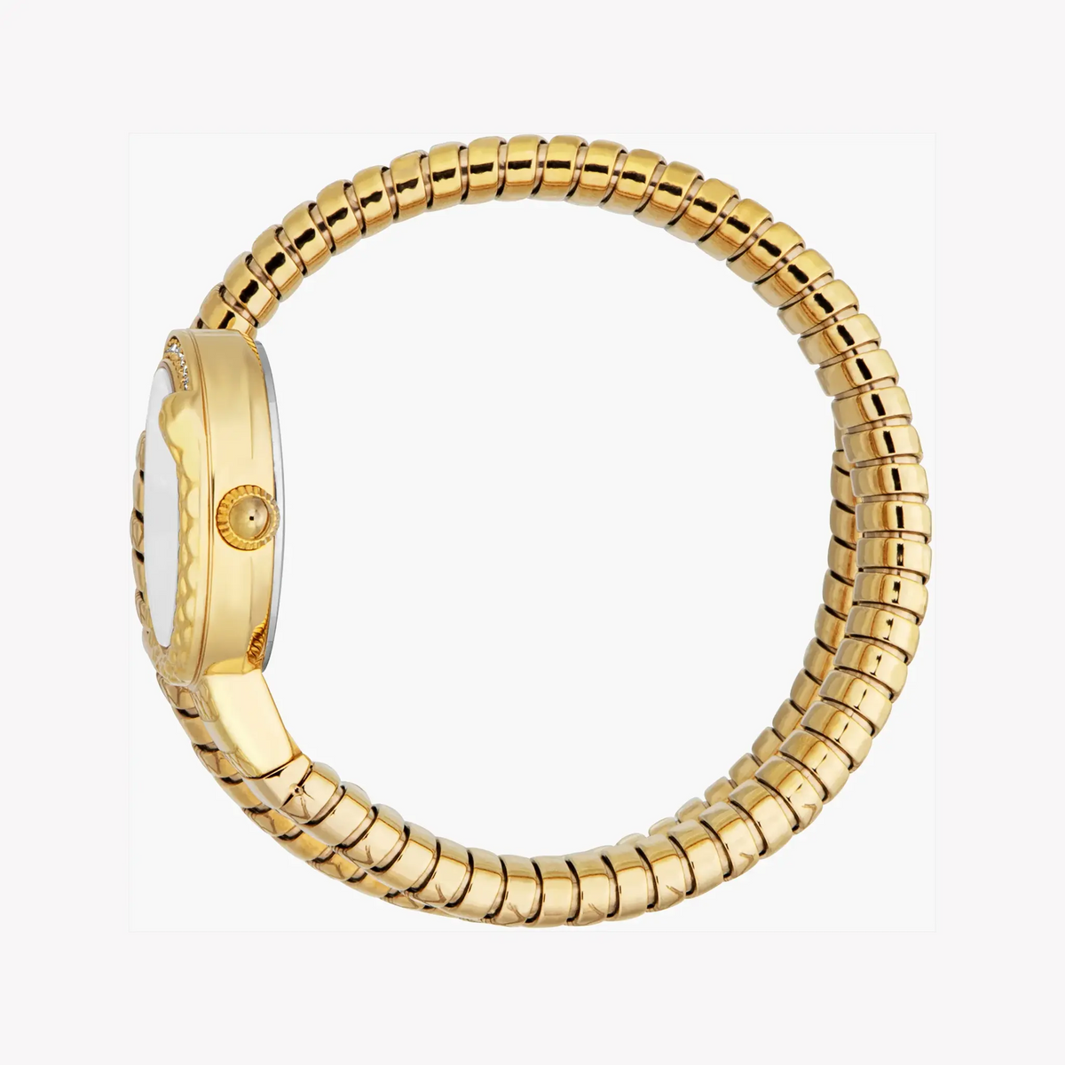 Just Cavalli Women's Gold Stainless Steel Watch, Silver Dial | Jc1l301m0025 by JUST CAVALLI