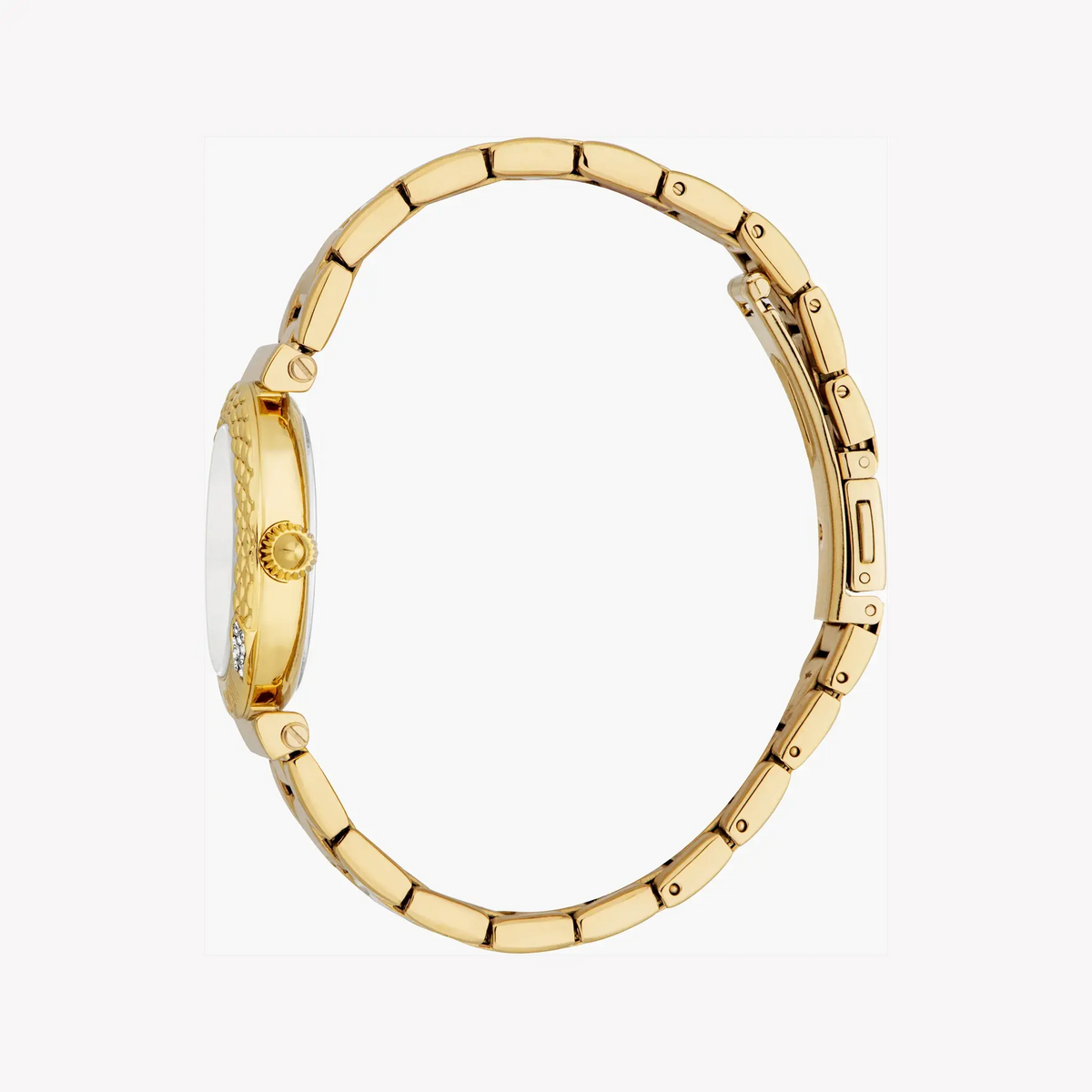 Just Cavalli Women's Gold Stainless Steel Watch, Silver Dial | Jc1l332m0055 by JUST CAVALLI