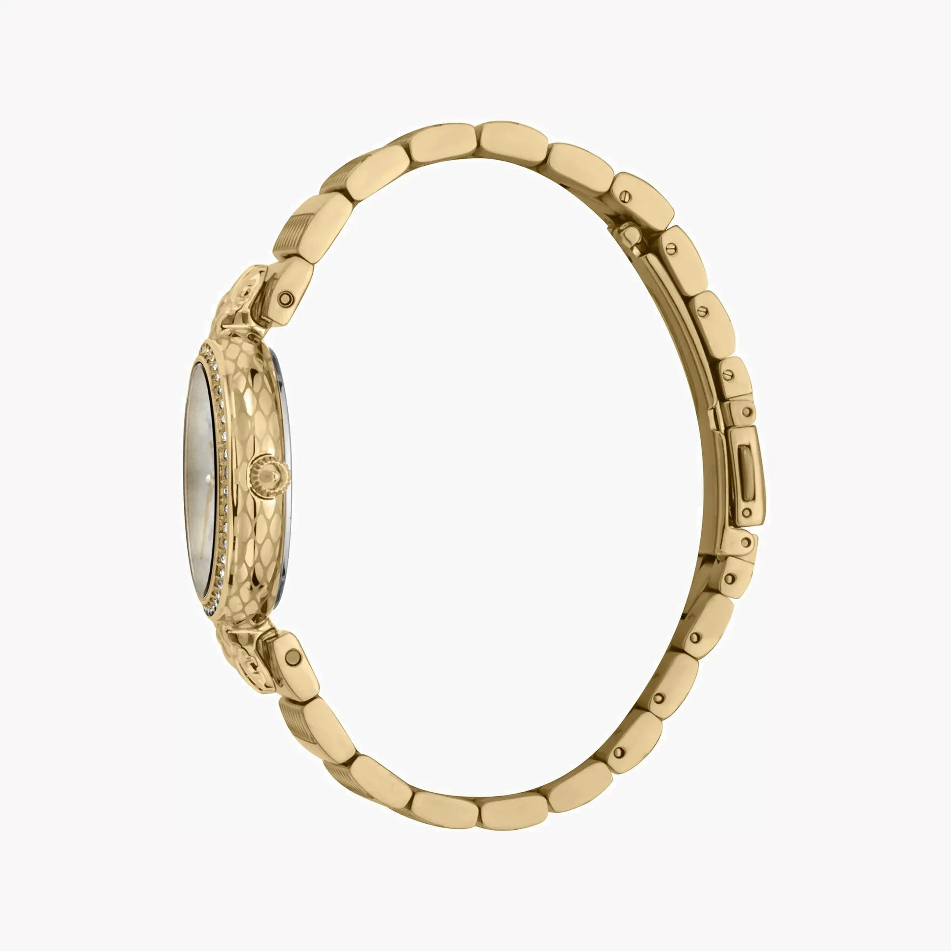 Just Cavalli Women's Gold Stainless Steel Watch, Silver Dial | Jc1l147m0065 by JUST CAVALLI