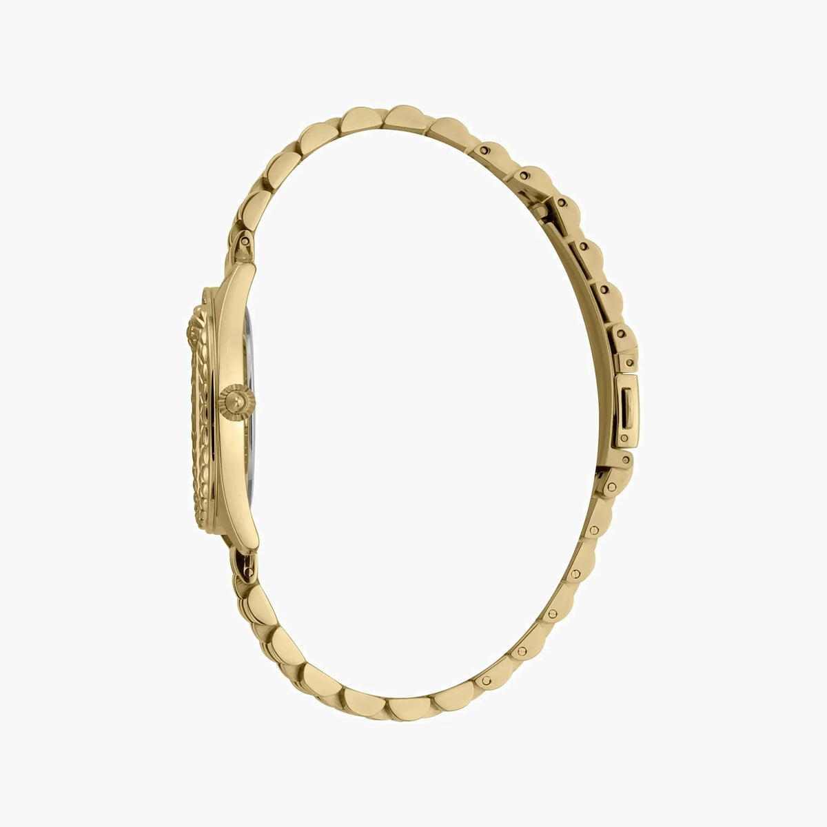 Just Cavalli Women's Gold Stainless Steel Watch, Champagne Dial | Jc1l195m0065 by JUST CAVALLI