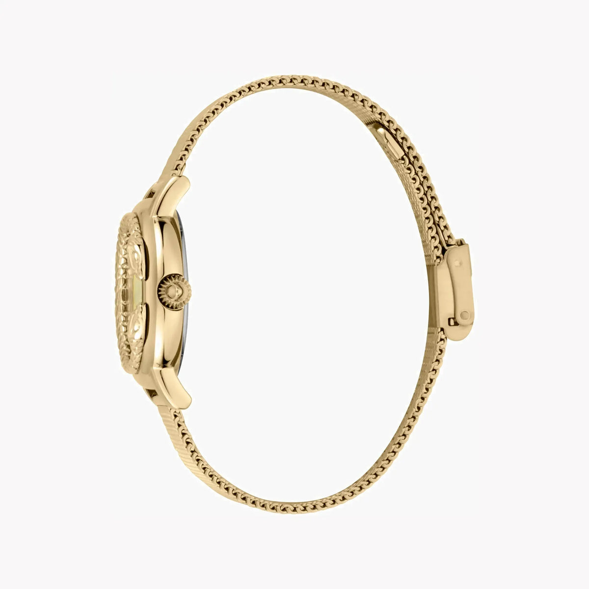 Just Cavalli Women's Gold Stainless Steel Watch, Champagne Dial | Jc1l151m0525 by JUST CAVALLI
