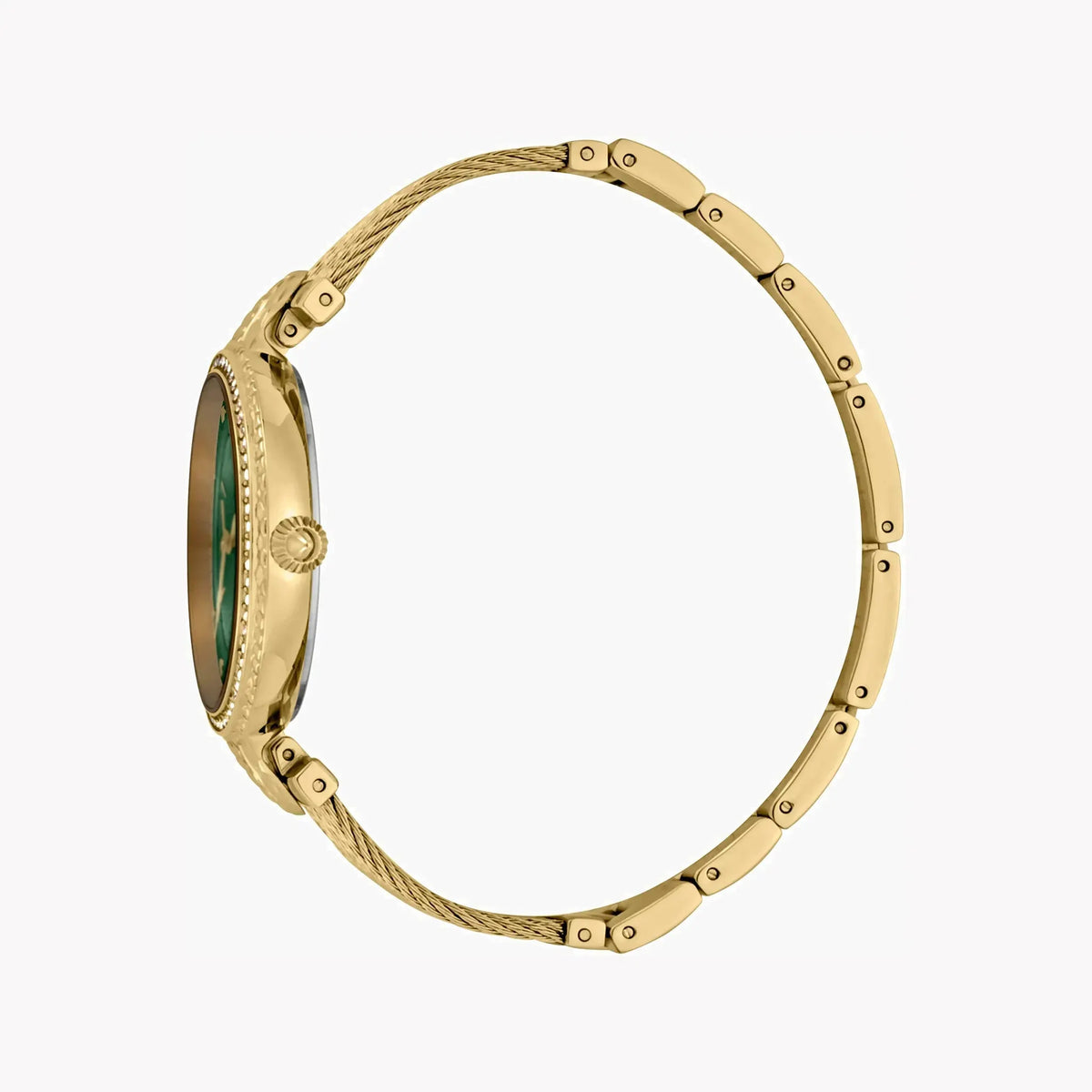 Just Cavalli Women's Gold Watch, Green Mother Of Pearls Dial | Jc1l169m0035 by JUST CAVALLI