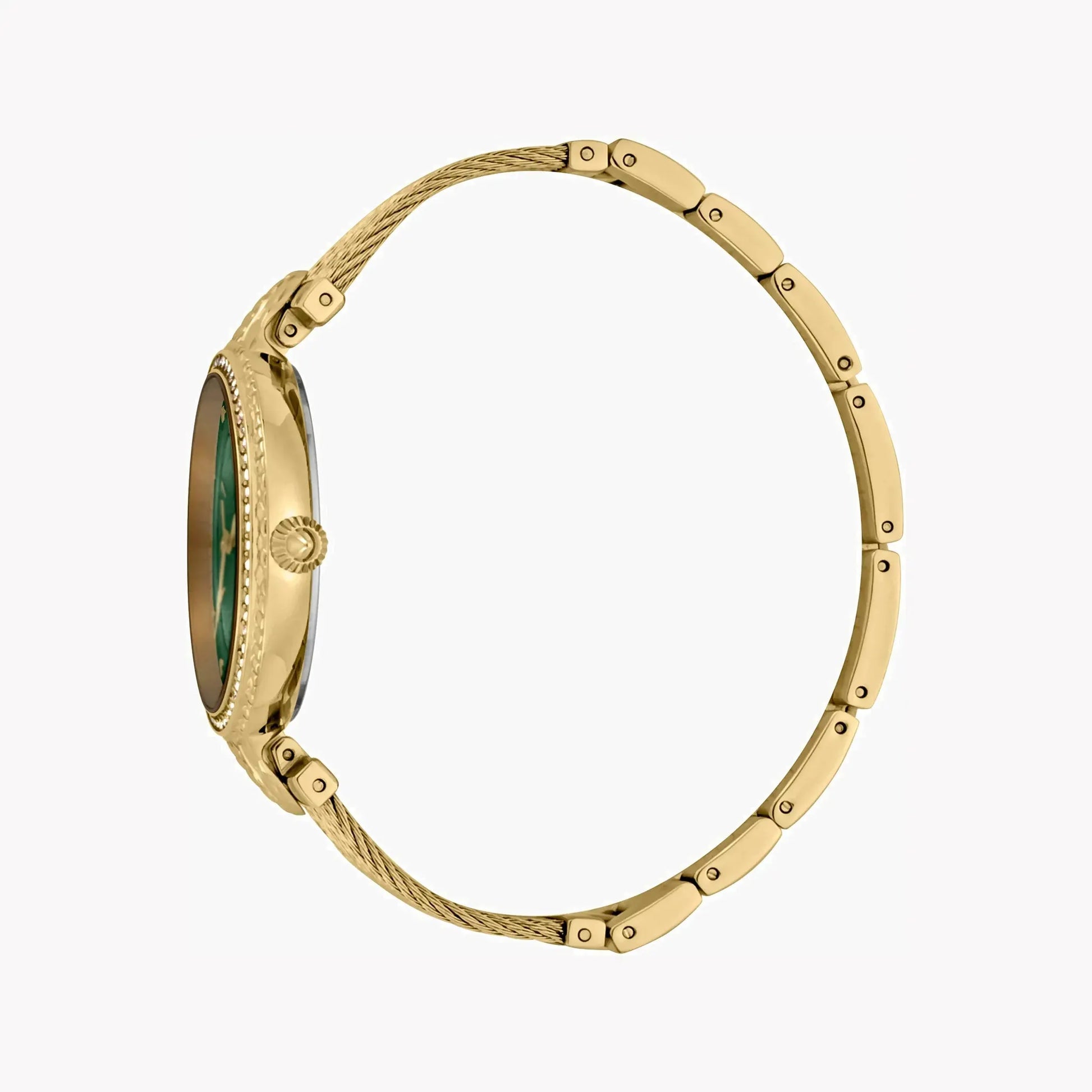 Just Cavalli Women's Gold Watch, Green Mother Of Pearls Dial | Jc1l169m0035 by JUST CAVALLI