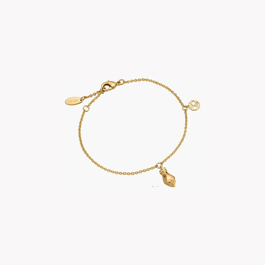 Just Cavalli Women's Gold Stainless Steel Bracelet, Stainless Steel | Jcbr00441400 by JUST CAVALLI
