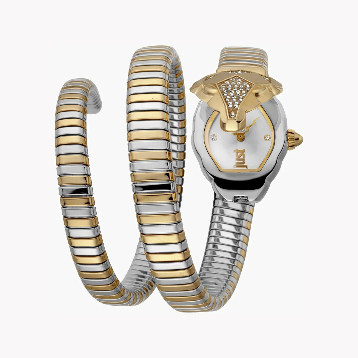 Just Cavalli Women's Silver & Gold Watch, Silver Dial | Jc1l073m0045 by JUST CAVALLI