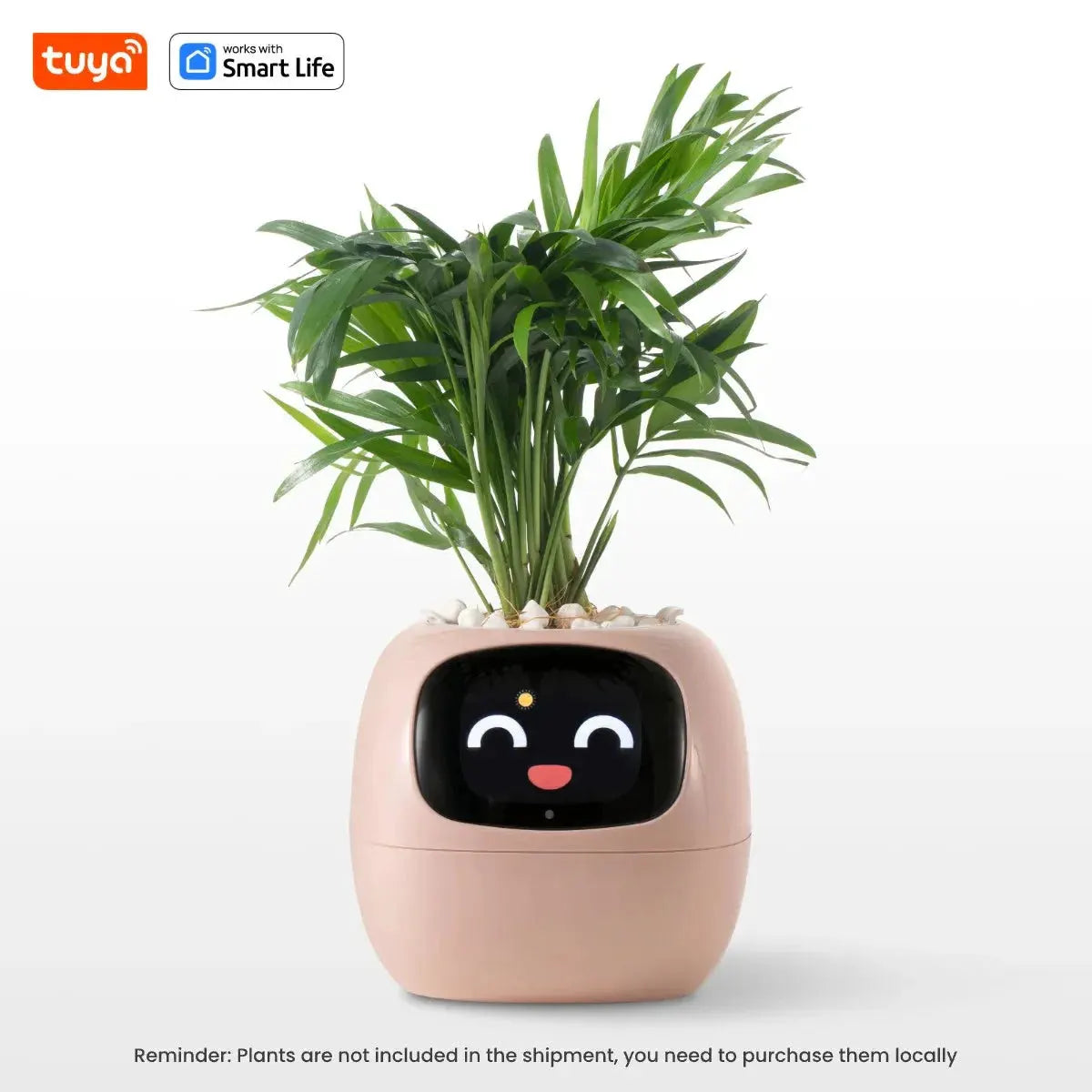 Tuya Ivy Smart Planter,Endless Fun Over 49 Rich Expressions,7 smart sensors,AI Chips Make Raising Plants Easy and Fun by MAIDEN-ART