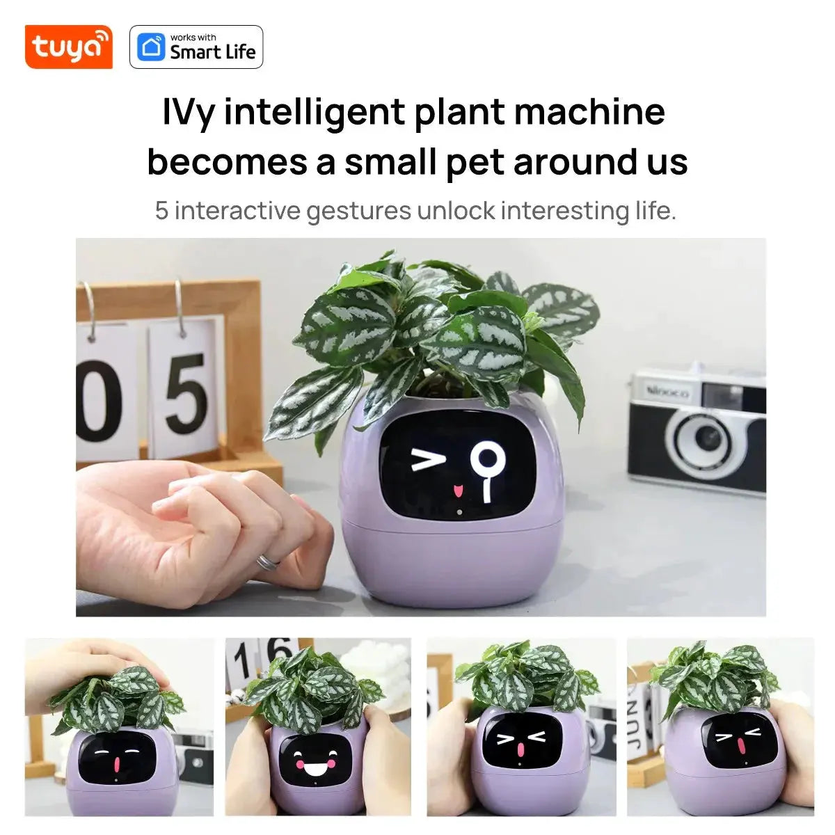 Tuya Ivy Smart Planter,Endless Fun Over 49 Rich Expressions,7 smart sensors,AI Chips Make Raising Plants Easy and Fun by MAIDEN-ART
