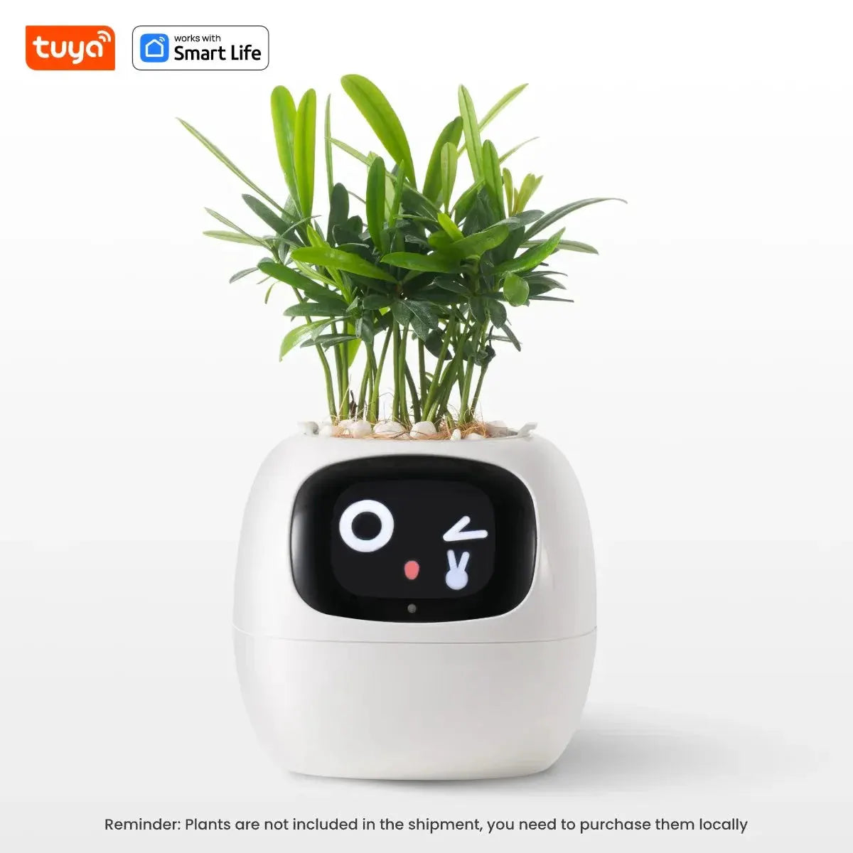 Tuya Ivy Smart Planter,Endless Fun Over 49 Rich Expressions,7 smart sensors,AI Chips Make Raising Plants Easy and Fun by MAIDEN-ART