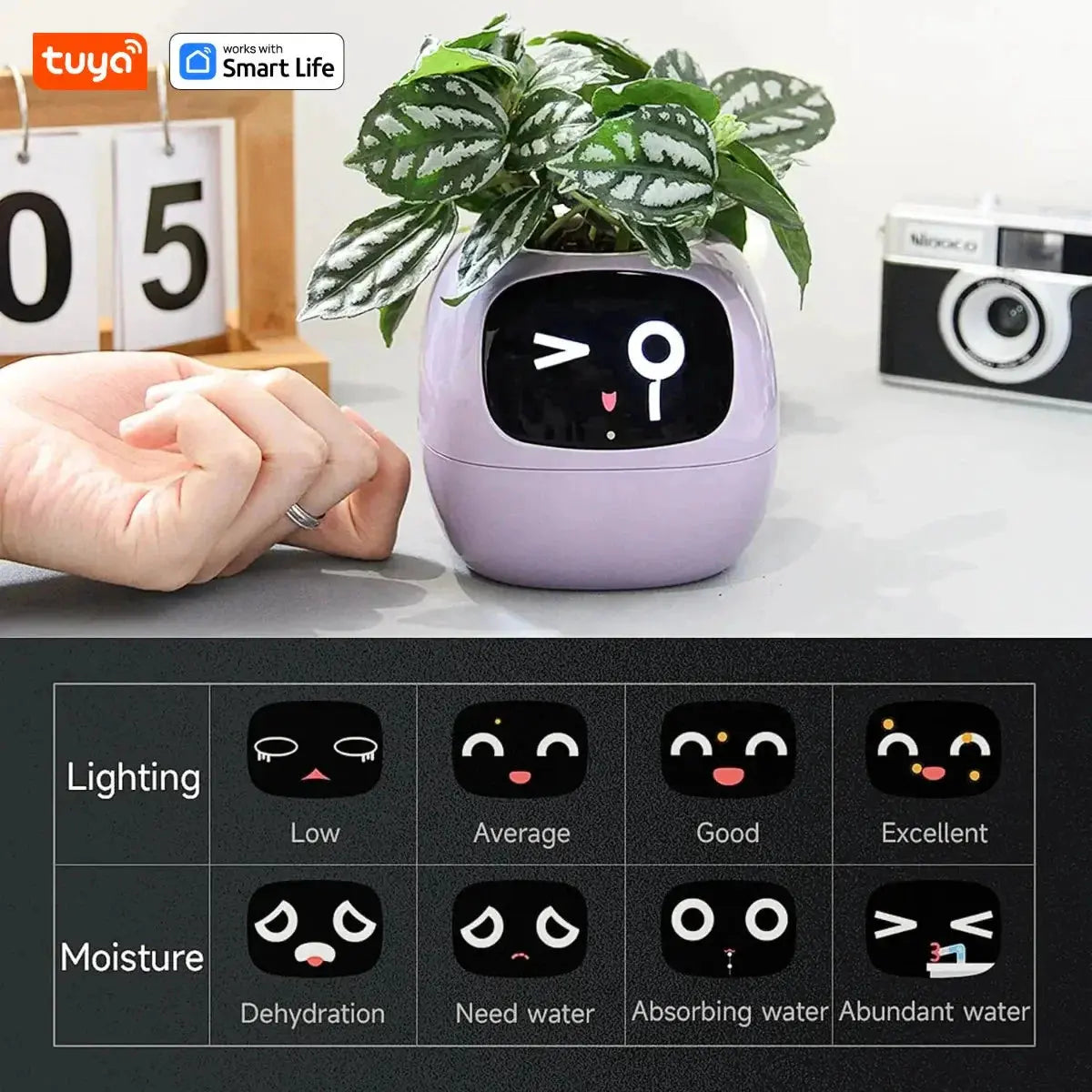 Tuya Ivy Smart Planter,Endless Fun Over 49 Rich Expressions,7 smart sensors,AI Chips Make Raising Plants Easy and Fun by MAIDEN-ART