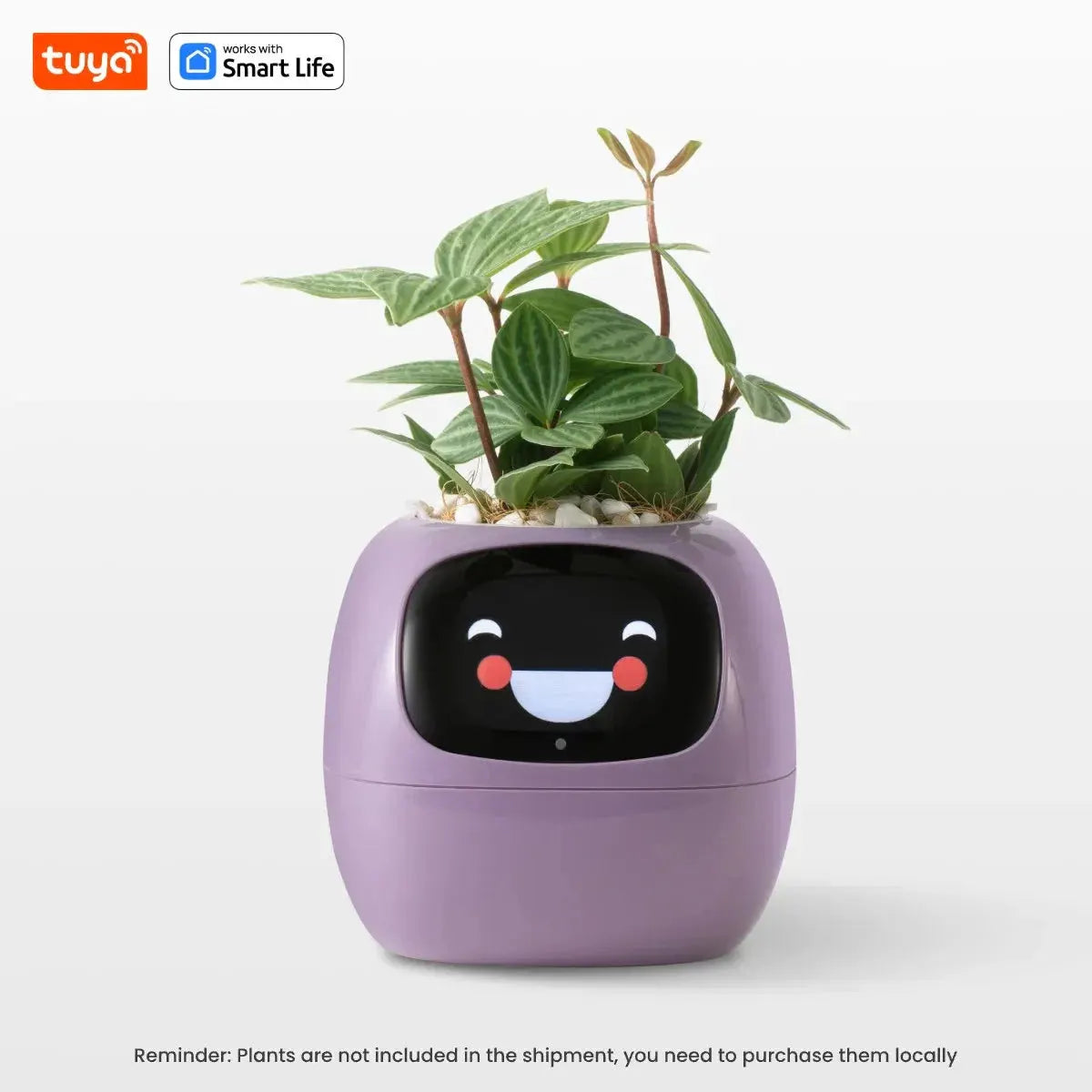 Tuya Ivy Smart Planter,Endless Fun Over 49 Rich Expressions,7 smart sensors,AI Chips Make Raising Plants Easy and Fun by MAIDEN-ART