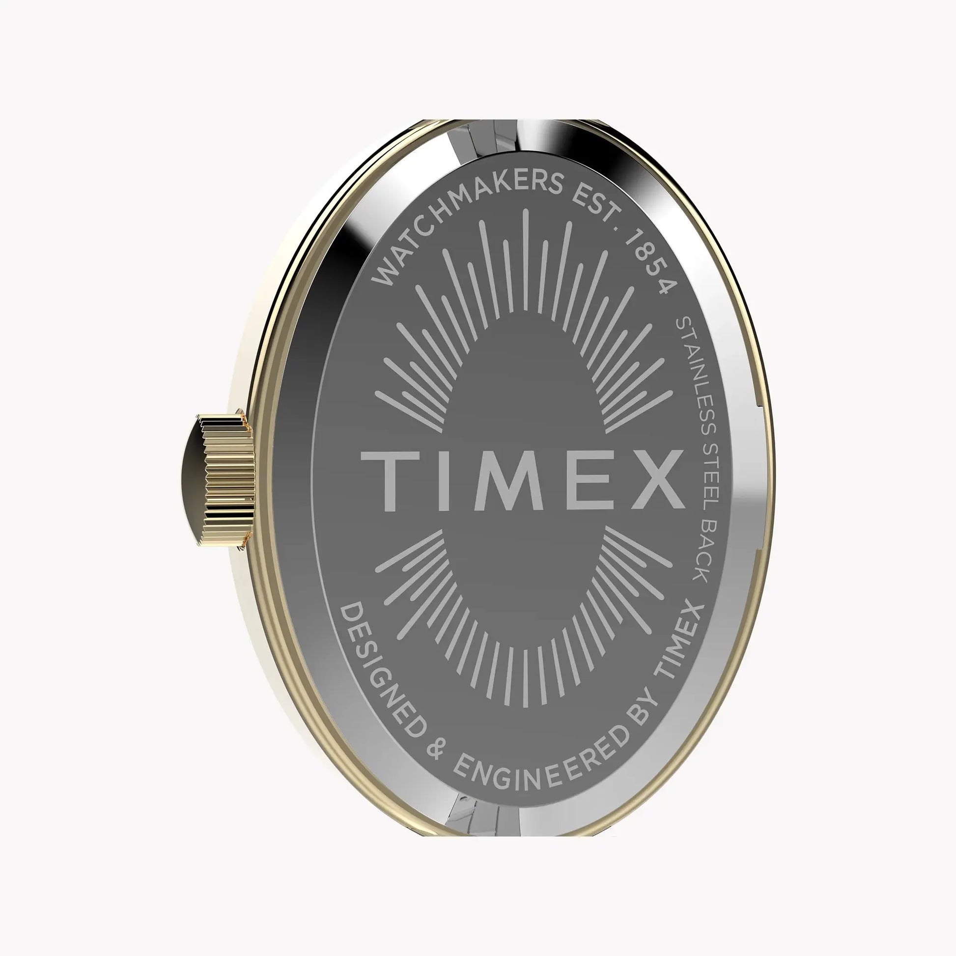Cavatina Gold-tone Case Two-tone Bracelet White Dial TW2Y26800 by TIMEX