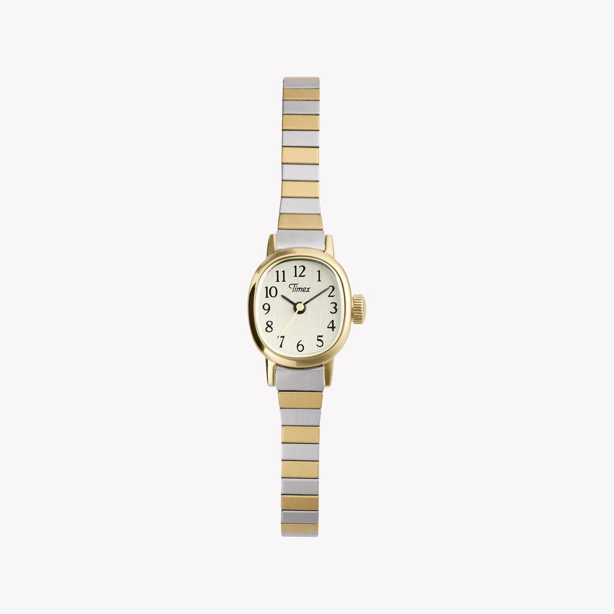 TIMEX Women's Two-Tone Stainless Steel, Gold-Tone | TW2Y66900 by TIMEX