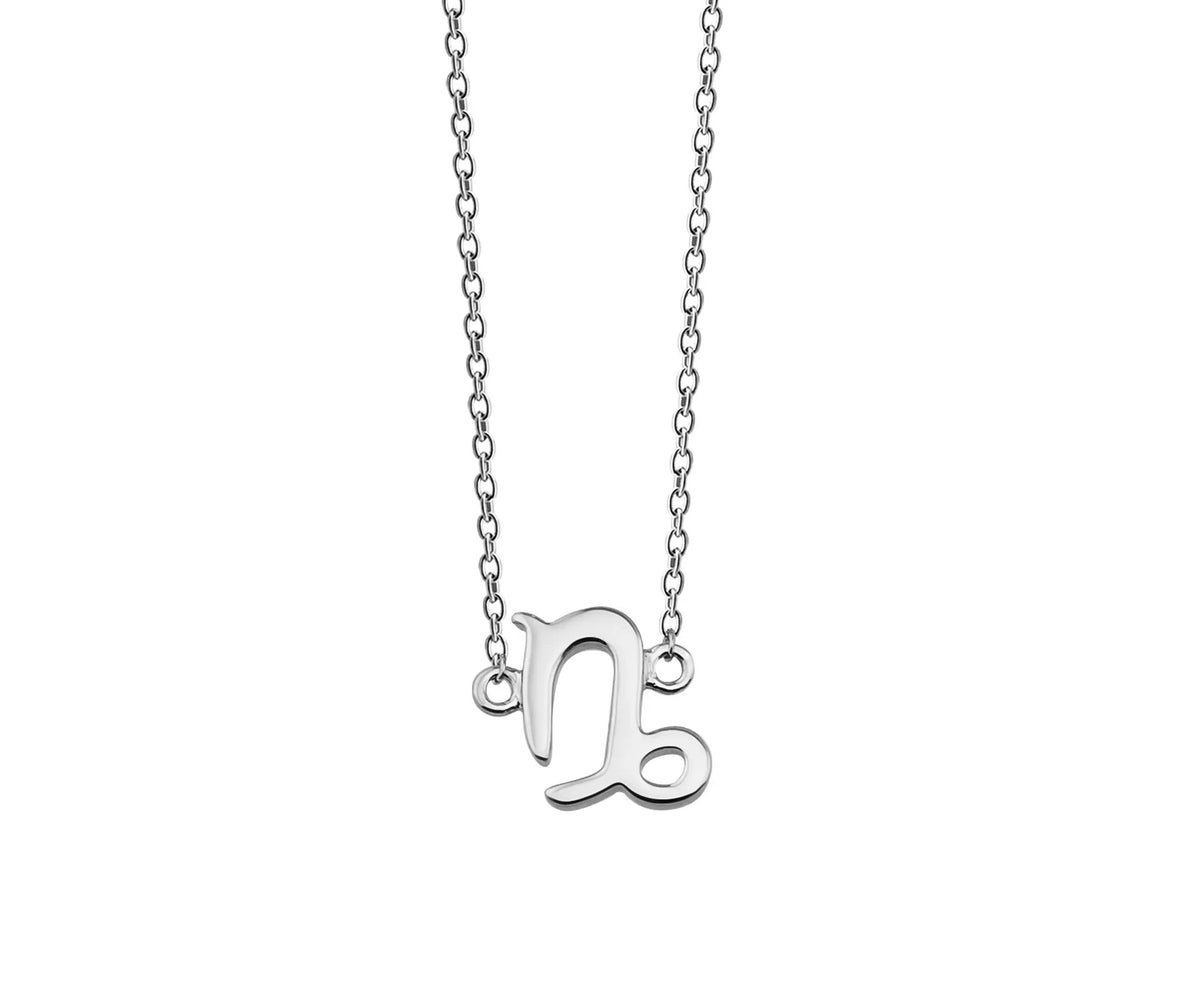 Steenbok Ketting Zilver ZN001S by Jwls4u