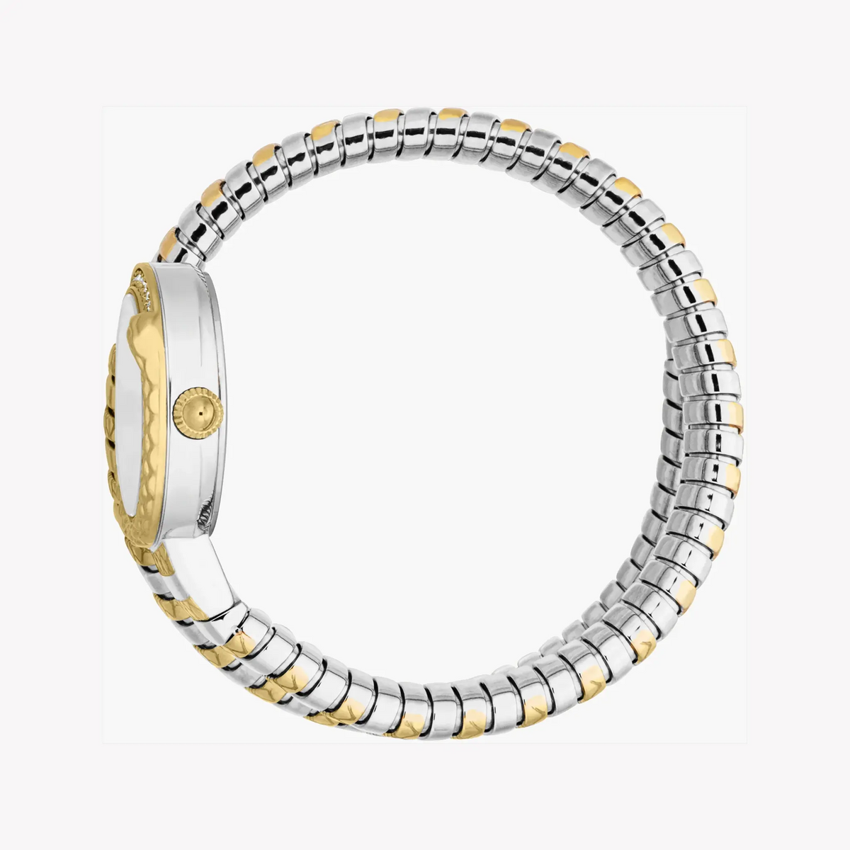 Just Cavalli Women's Two-Tone Watch, Silver Dial | Jc1l301m0065 by JUST CAVALLI