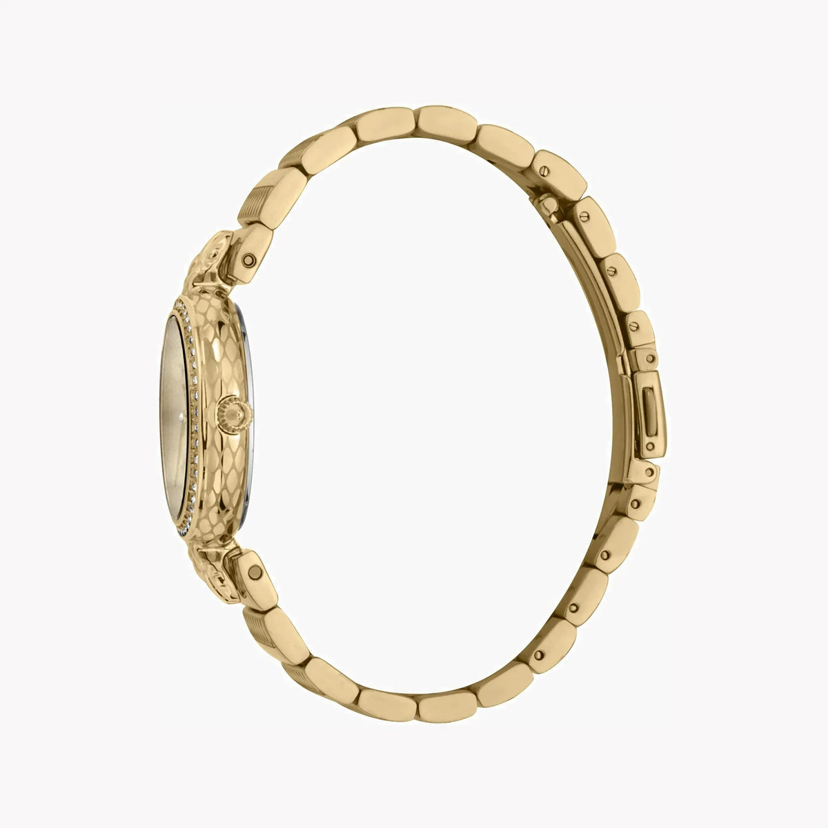 Just Cavalli Women's Gold Stainless Steel Watch, Champagne Dial | Jc1l147m0055 by JUST CAVALLI