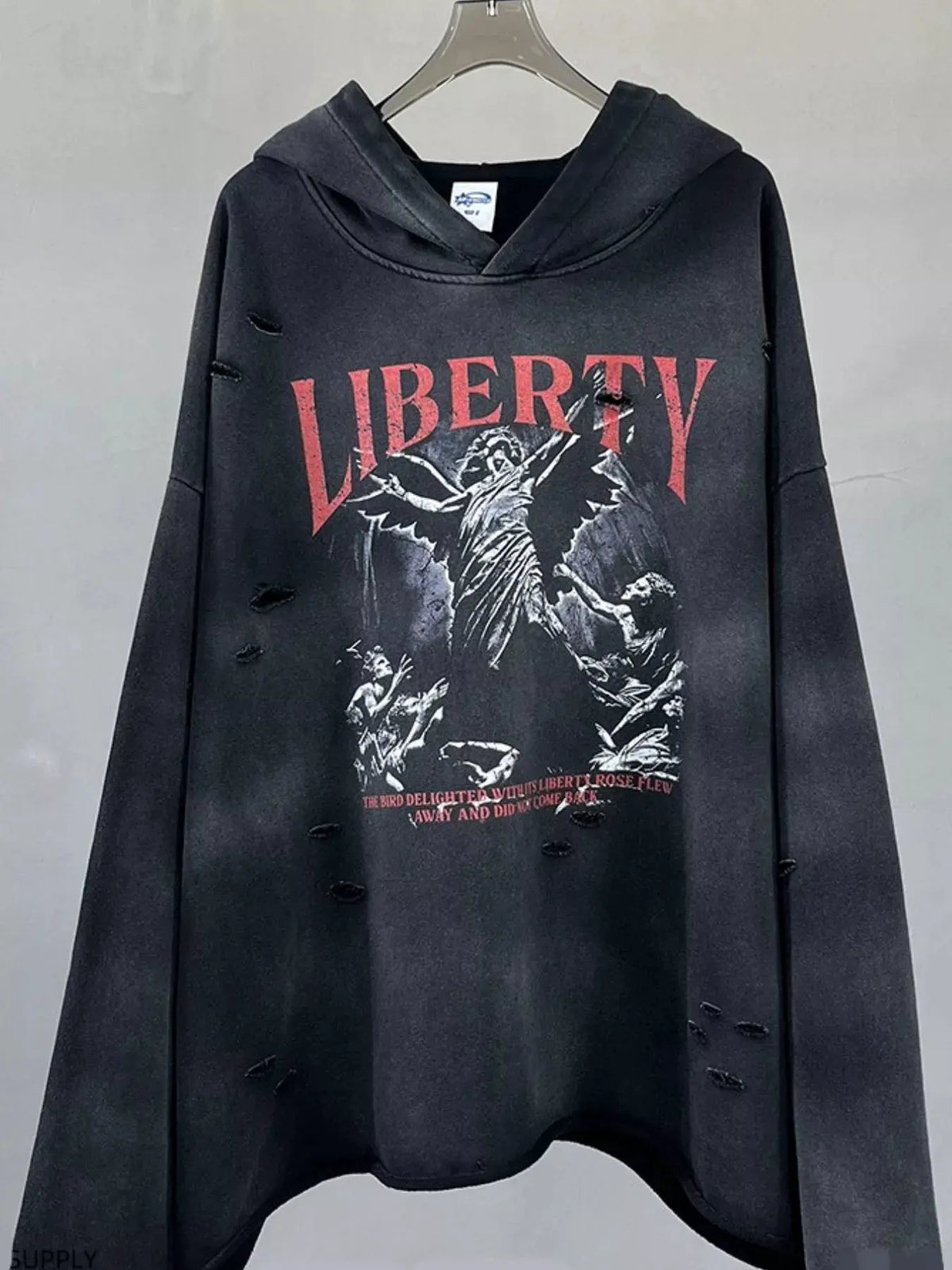 Men's Graphic Long Sleeve Hoodie by Partner Label