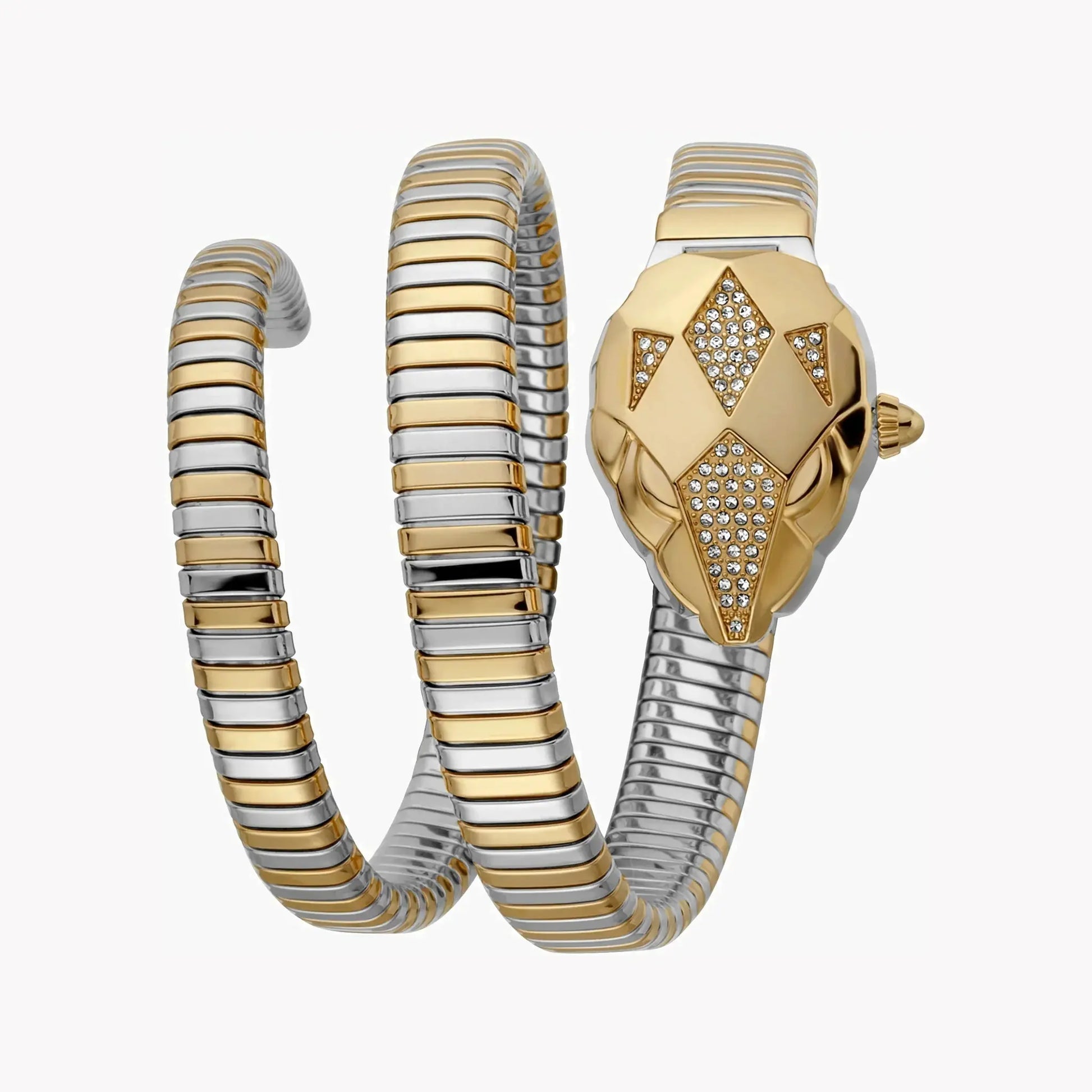Just Cavalli Women's Silver & Gold Watch, Silver Dial | Jc1l073m0045 by JUST CAVALLI