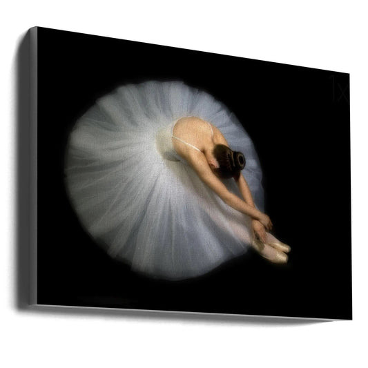 Wall art Elegance. Dance by Pauline Pentony MA ARPS DPAGB