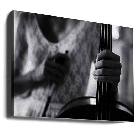 Wall art break for the cello by Roswitha Schleicher-Schwarz