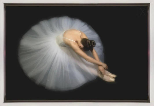 Wall art Elegance. Dance by Pauline Pentony MA ARPS DPAGB