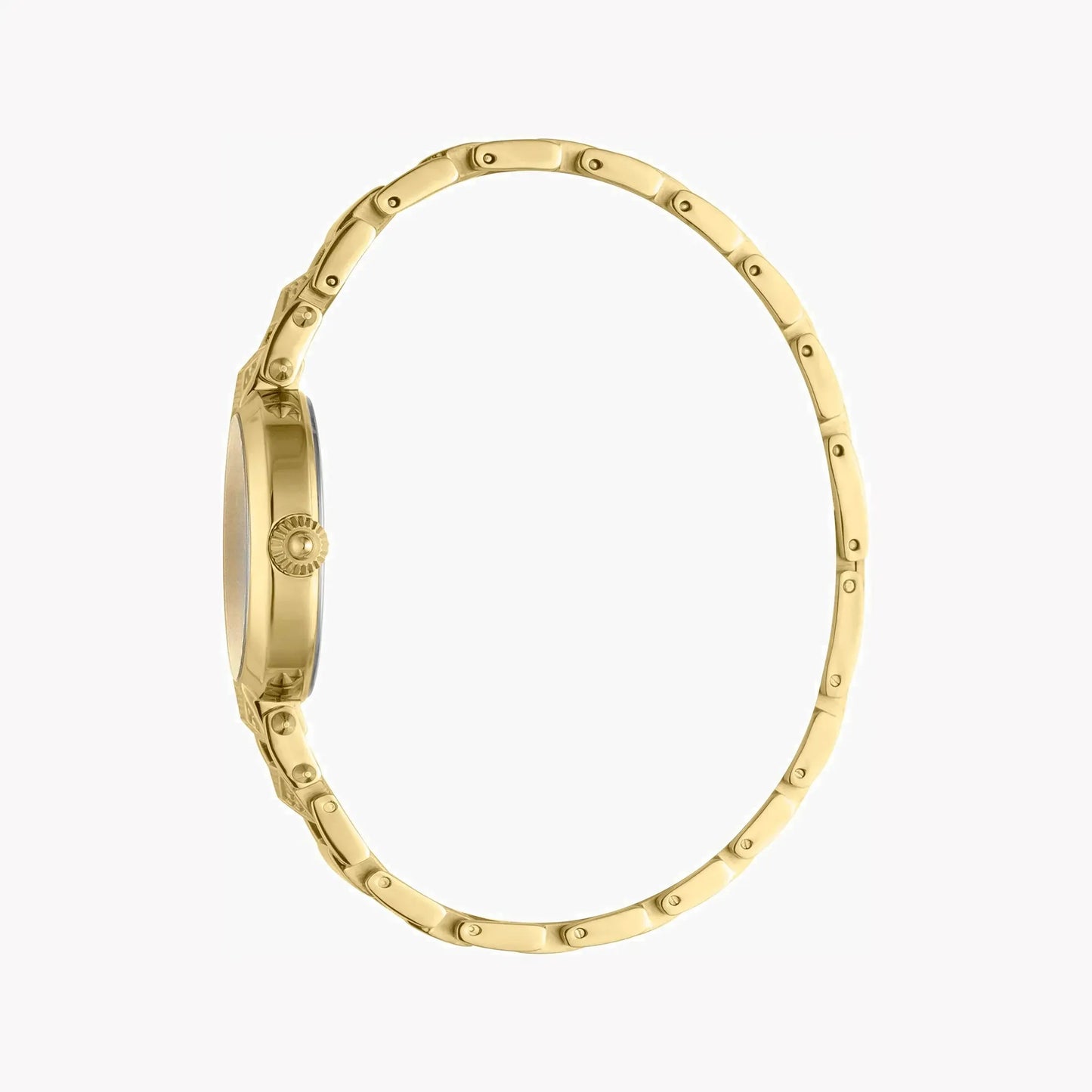 Just Cavalli Women's Gold Stainless Steel Watch, Silver Dial | Jc1l076m0135 by JUST CAVALLI