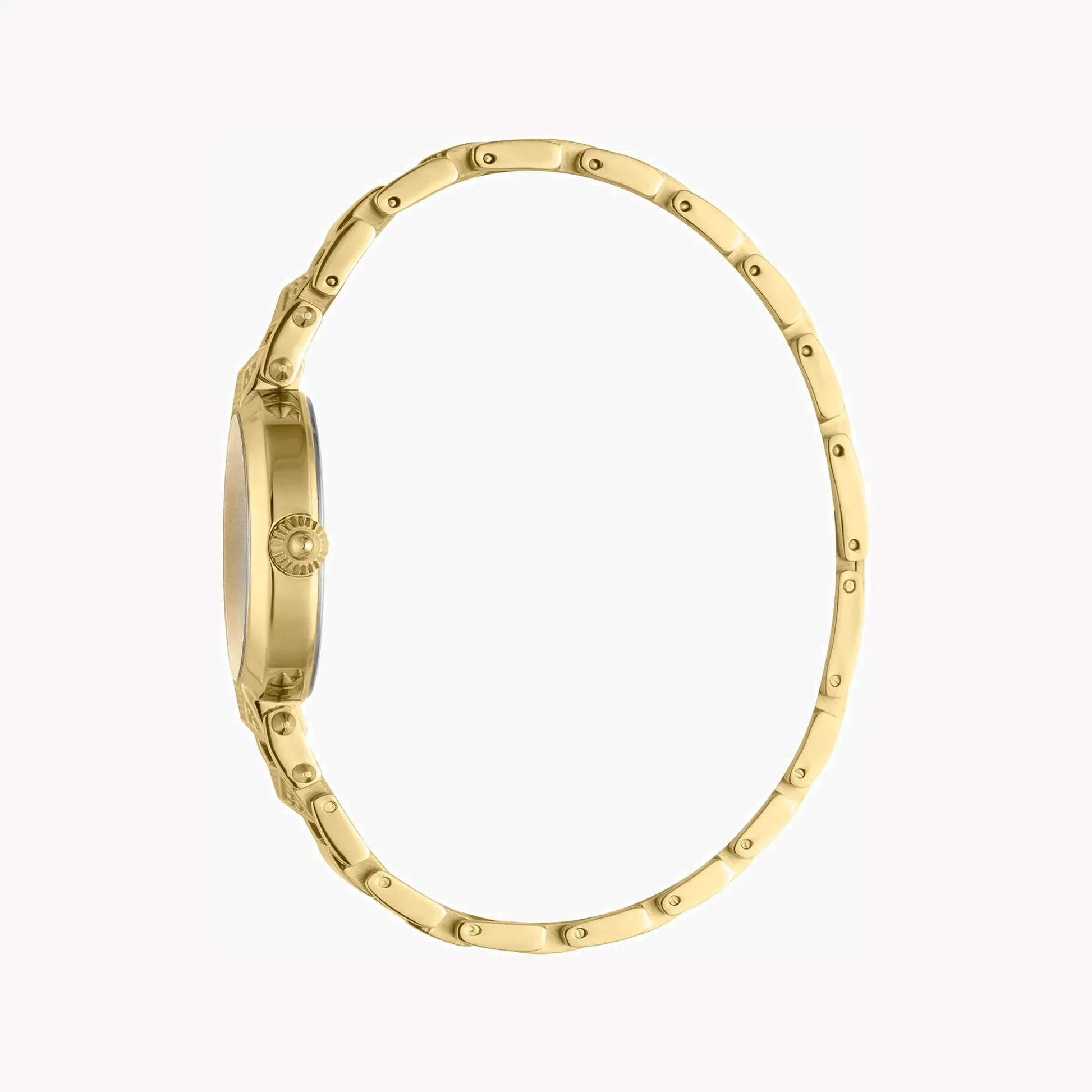 Just Cavalli Women's Gold Stainless Steel Watch, Silver Dial | Jc1l076m0135 by JUST CAVALLI