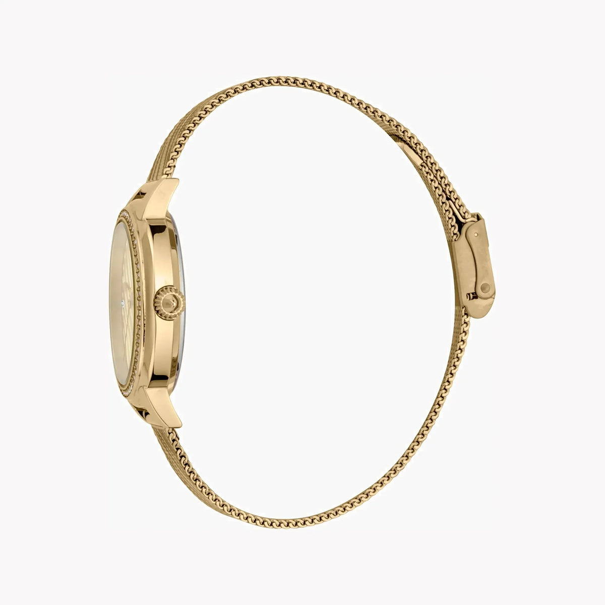 Just Cavalli Women's Gold Stainless Steel Watch, Champagne Dial | Jc1l146m0055 by JUST CAVALLI