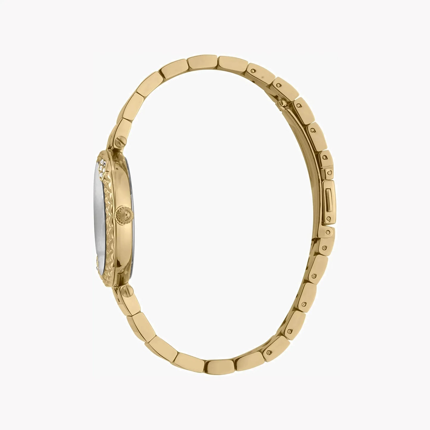 Just Cavalli Women's Gold Stainless Steel Watch, Silver Dial | Jc1l197m0065 by JUST CAVALLI