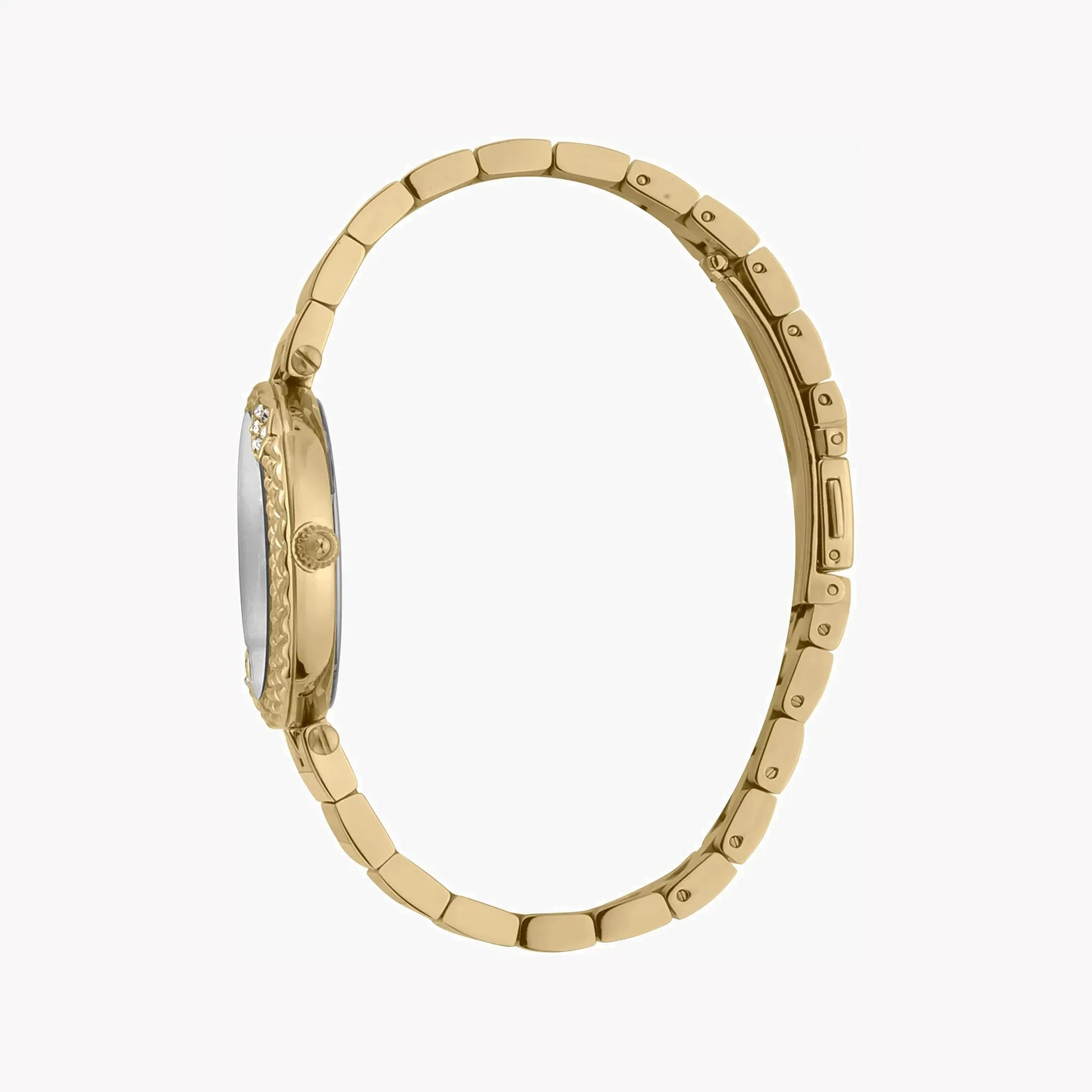 Just Cavalli Women's Gold Stainless Steel Watch, Silver Dial | Jc1l197m0065 by JUST CAVALLI