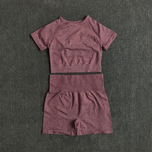 Seamless Women Yoga Set Crop Top Short Sleeve Shirt Fitness Shorts Workout Clothes For Women Gym Clothing Yoga Sport Set by Vimost Shop