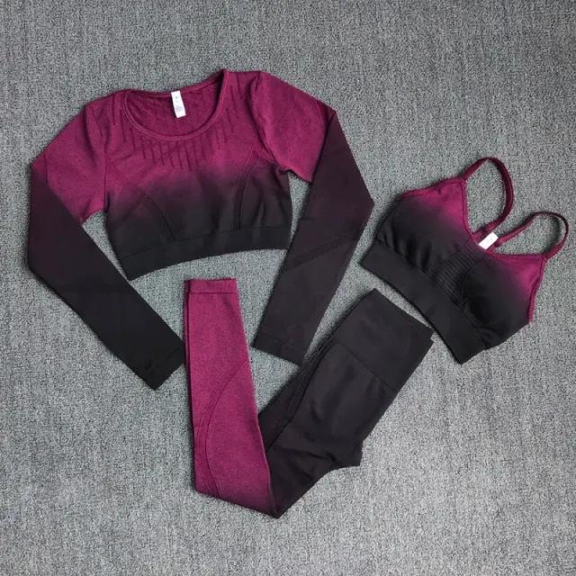 Ombre Women Yoga Set Workout Long Sleeve Crop Top Sports Bra Seamless Leggings Gym Clothing Fitness Sportswear Sports Suits by Vimost Shop