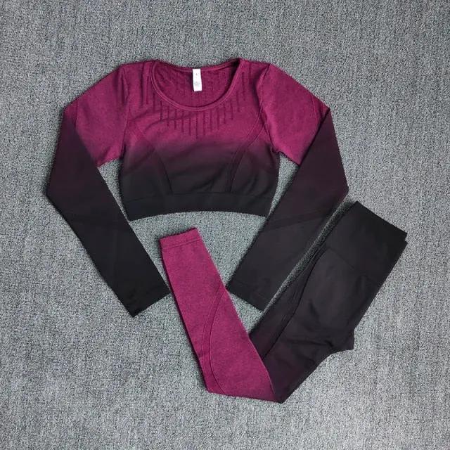 Ombre Women Yoga Set Workout Long Sleeve Crop Top Sports Bra Seamless Leggings Gym Clothing Fitness Sportswear Sports Suits by Vimost Shop